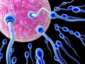 sperm olufamousblog (1)